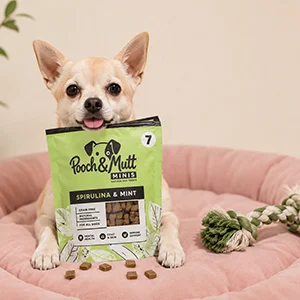 Custom small dog treat packaging pouch with resealable zipper