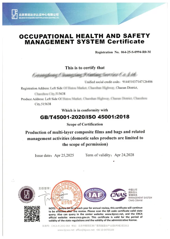 08 ISO 45001 occupational health and safety management system certificate